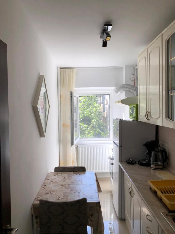 Le Garcon De Cristina-Simple,Quiet,Spacious Studio Bukarest Kültér fotó